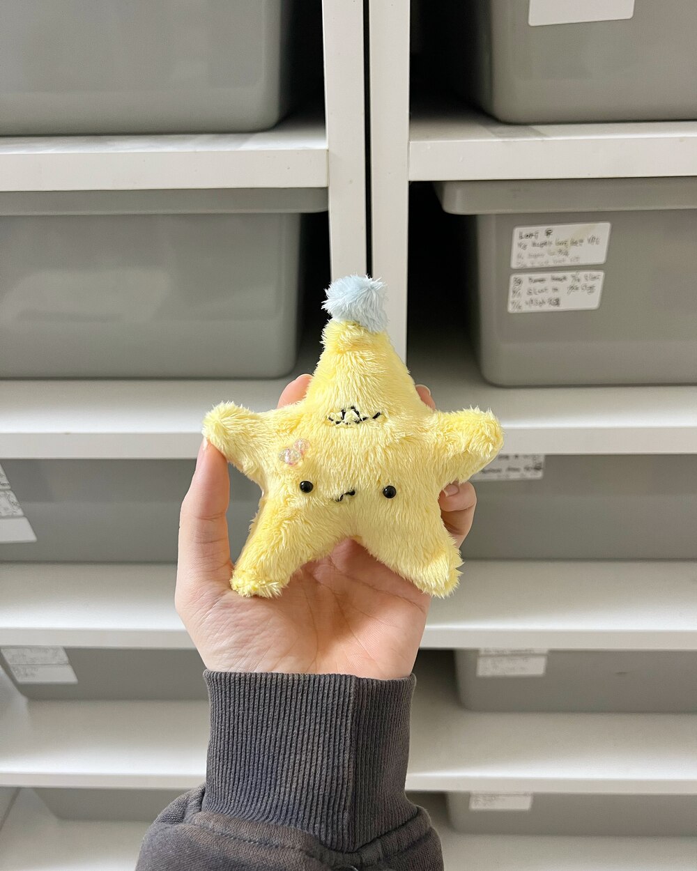 ヒトデ星のモウジュウ
