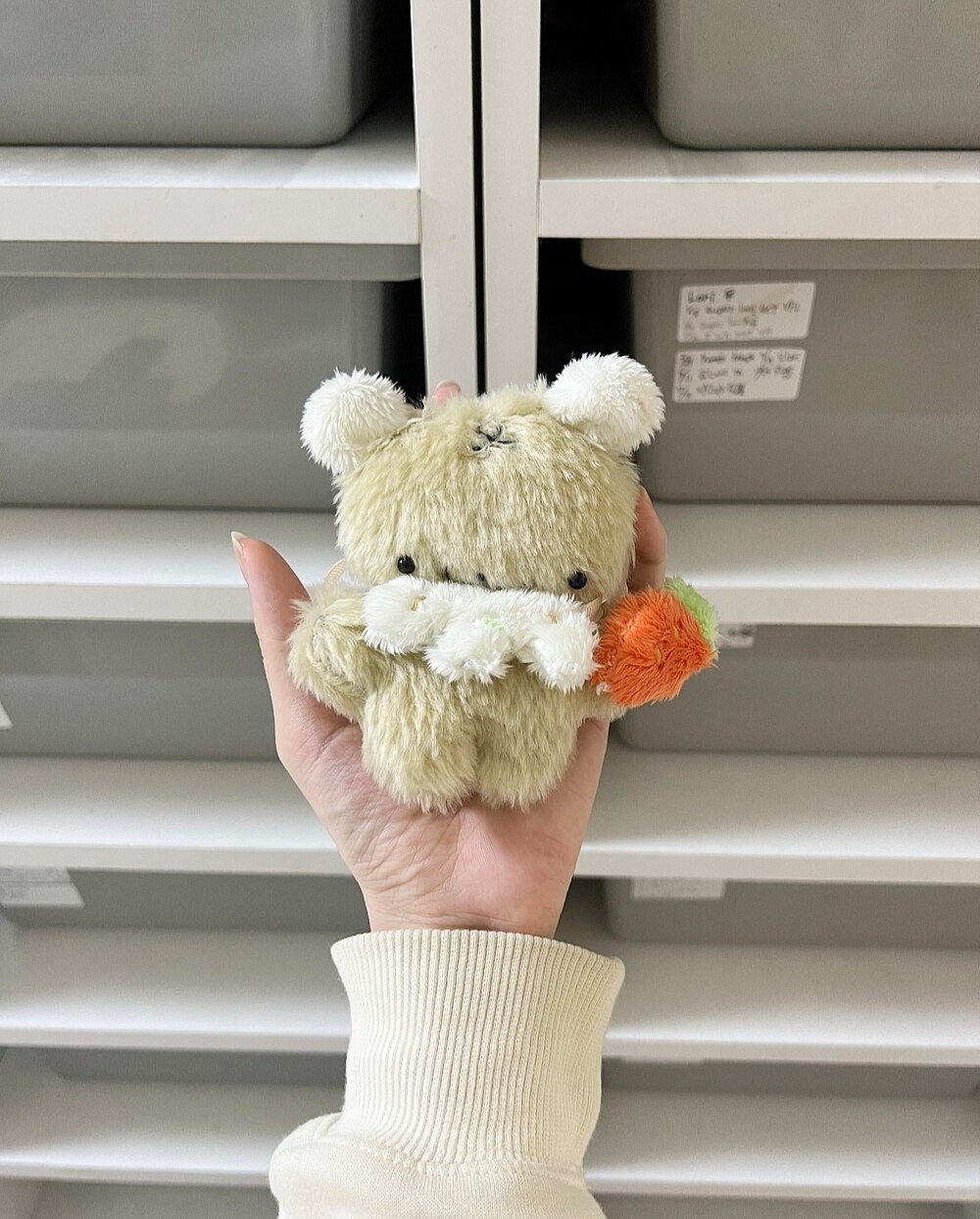 キャロットケーキのモウジュウ