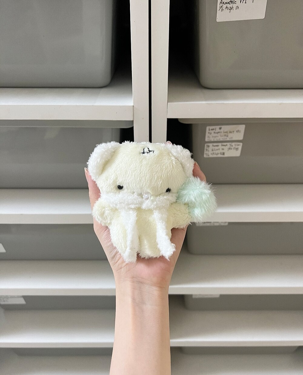 メロンケーキのモウジュウ