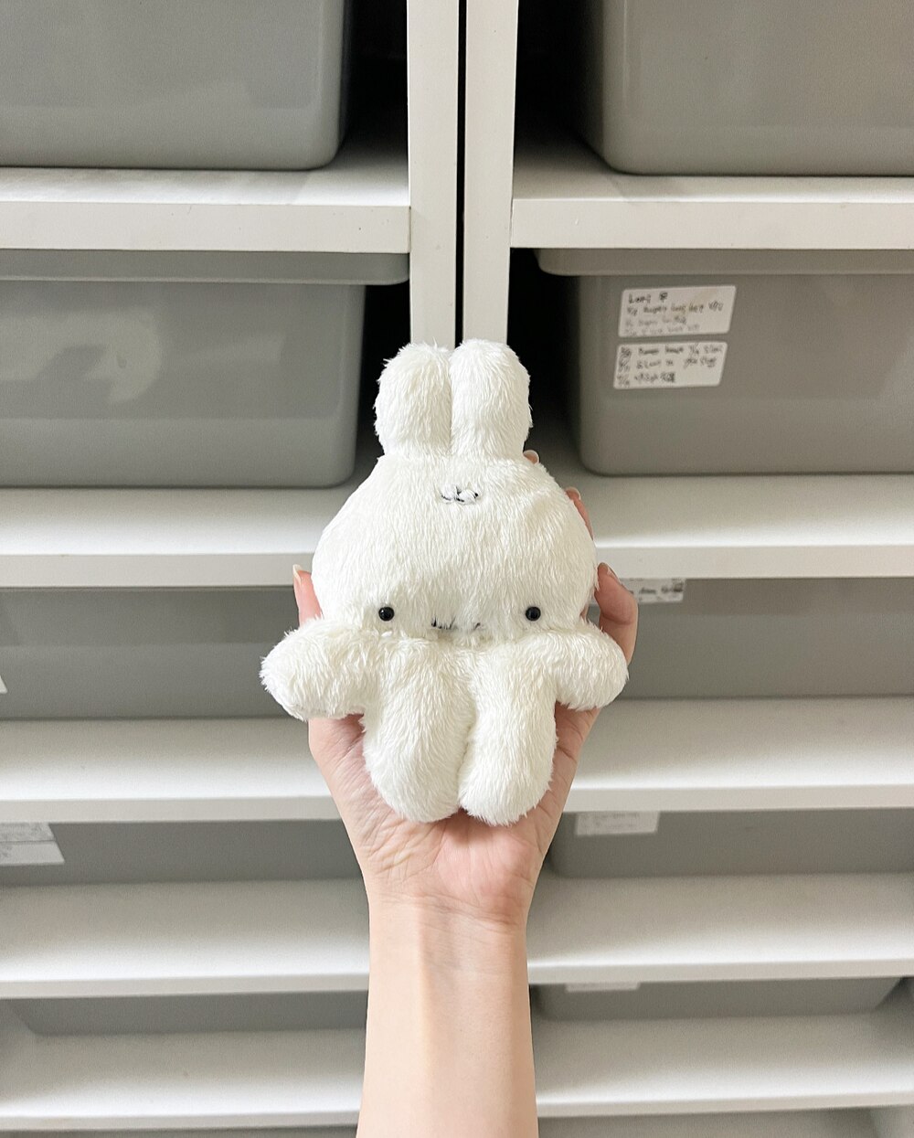 綿毛のモウジュウ ピョンチ