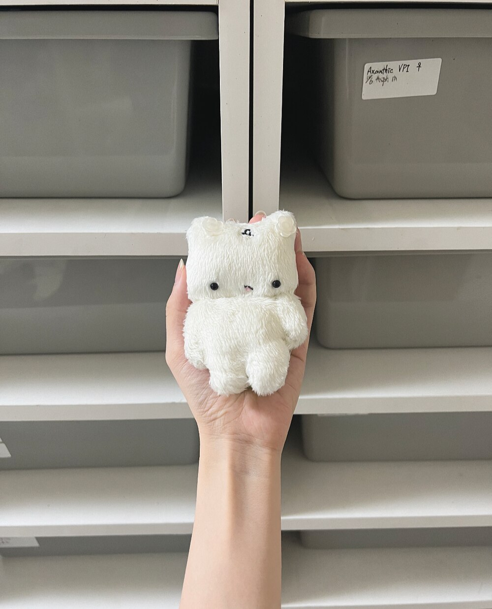 綿毛のモウジュウ にゃむ