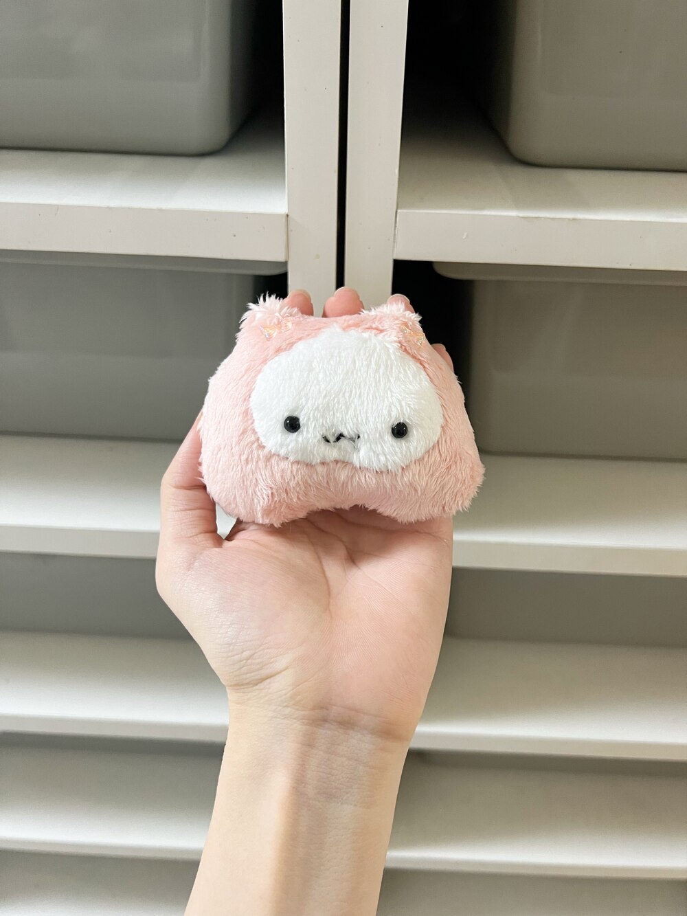 スアマのプリンセスでちゅ