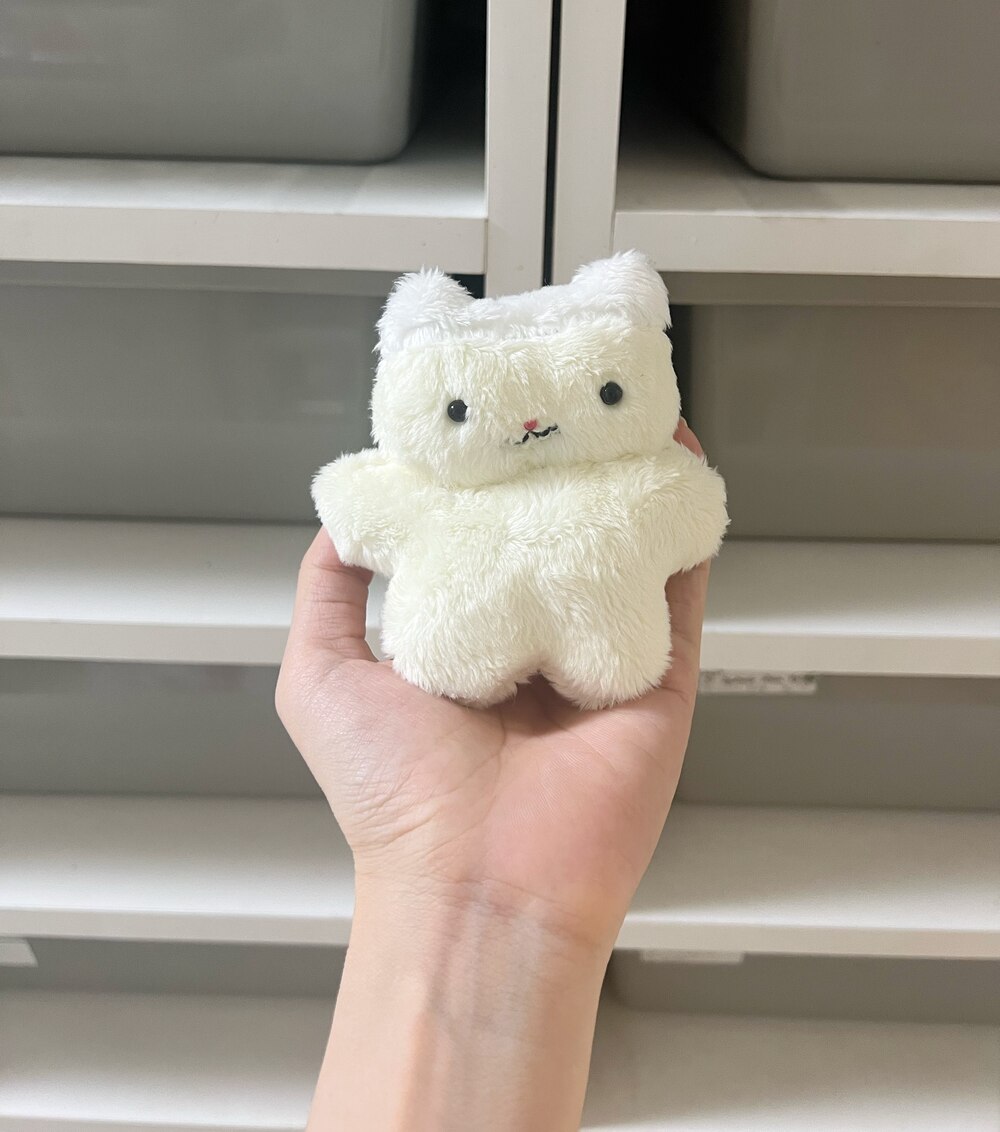 にゃんこの言うこと聞きなさい