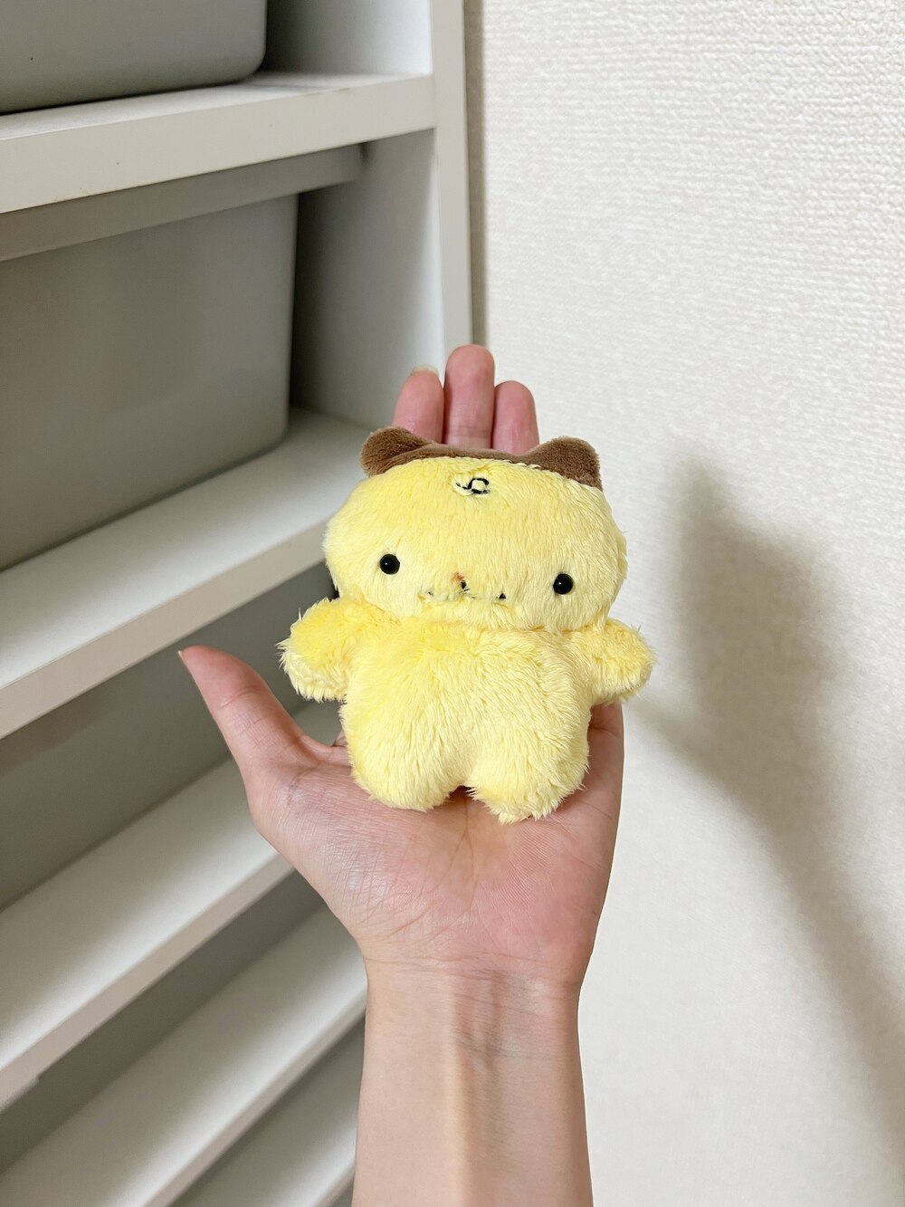 初めまして！ぷっちゅんぷりん