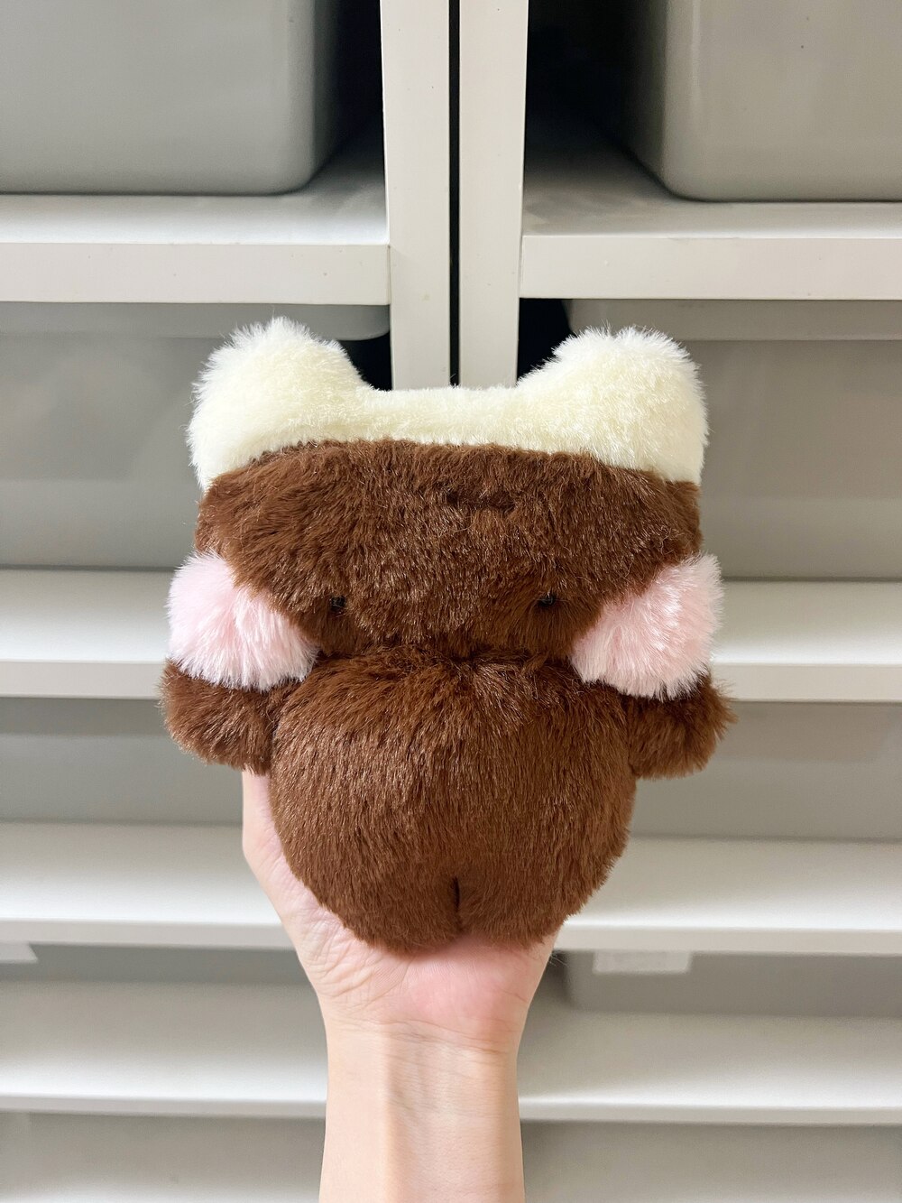 みるちゅちょこ