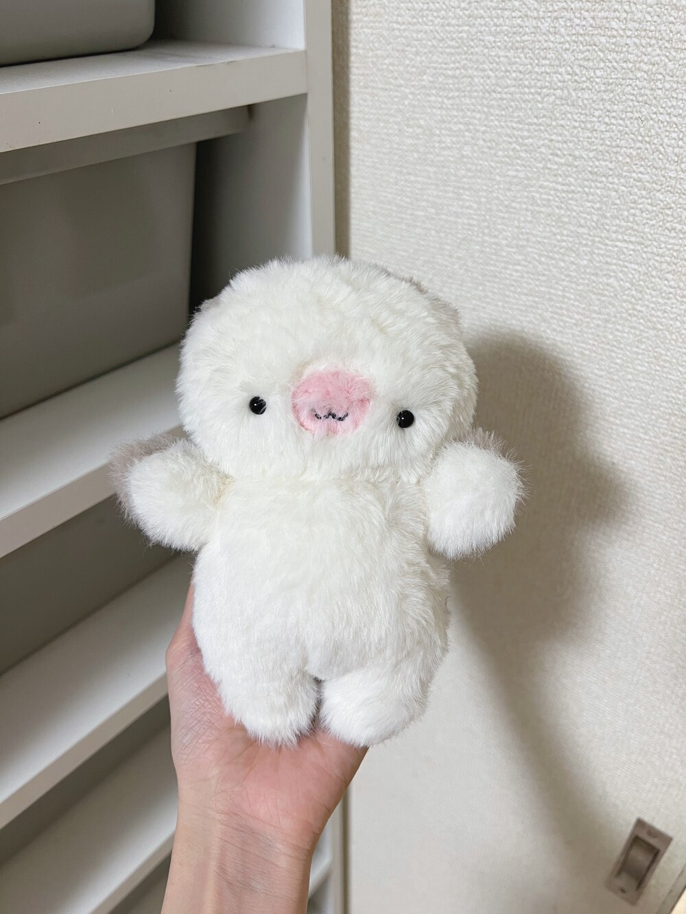 食パンのはしっこ(後ろ耳)