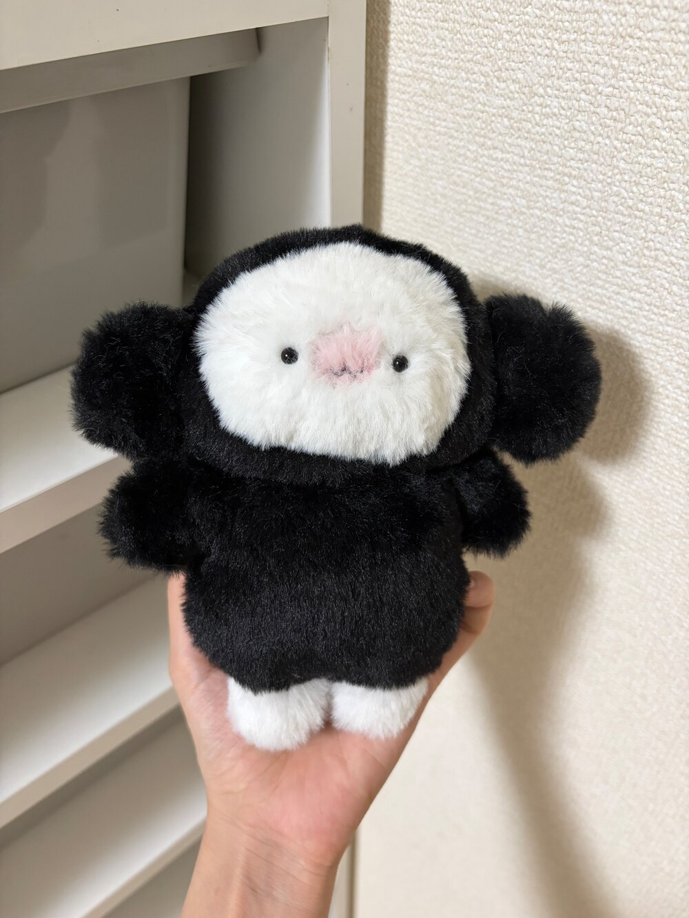 死神の赤ちゃん