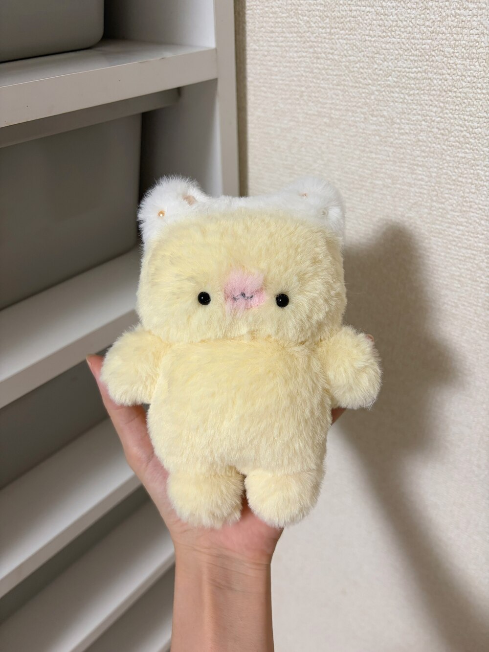 ショートケーキにゃんこ