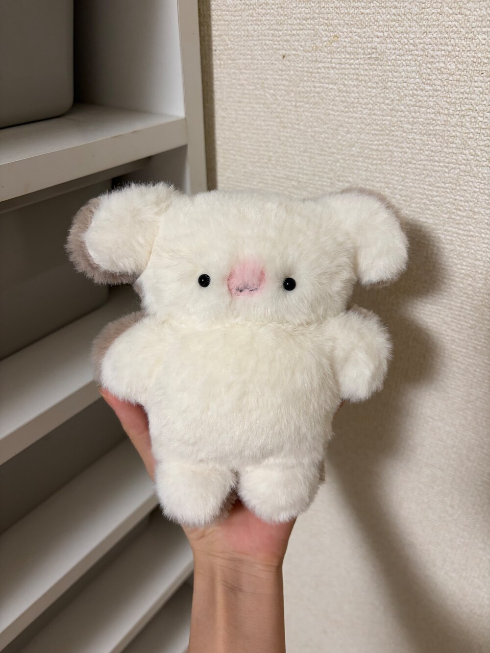 食パンのはしっこ