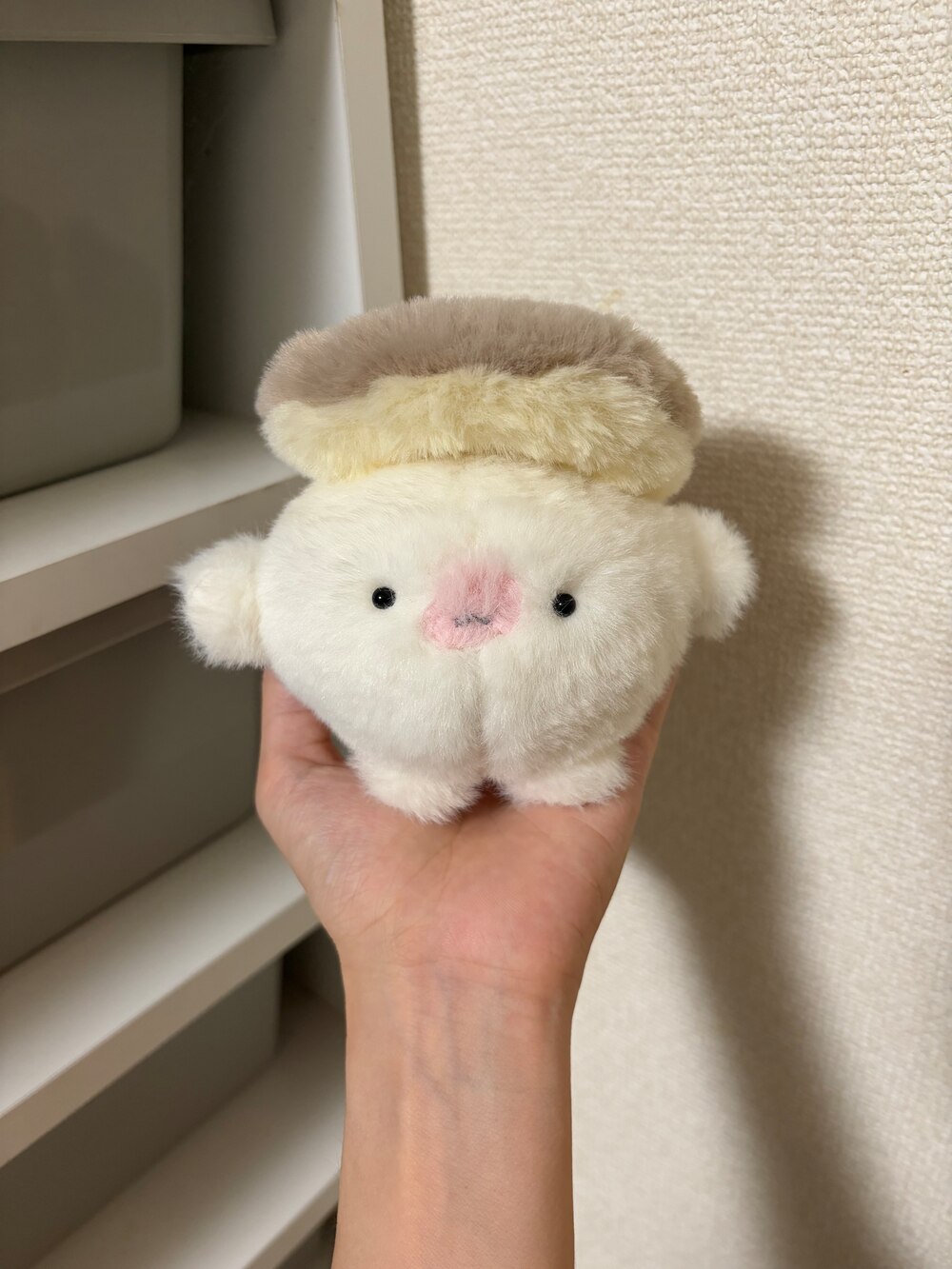 パンケーキ⑥