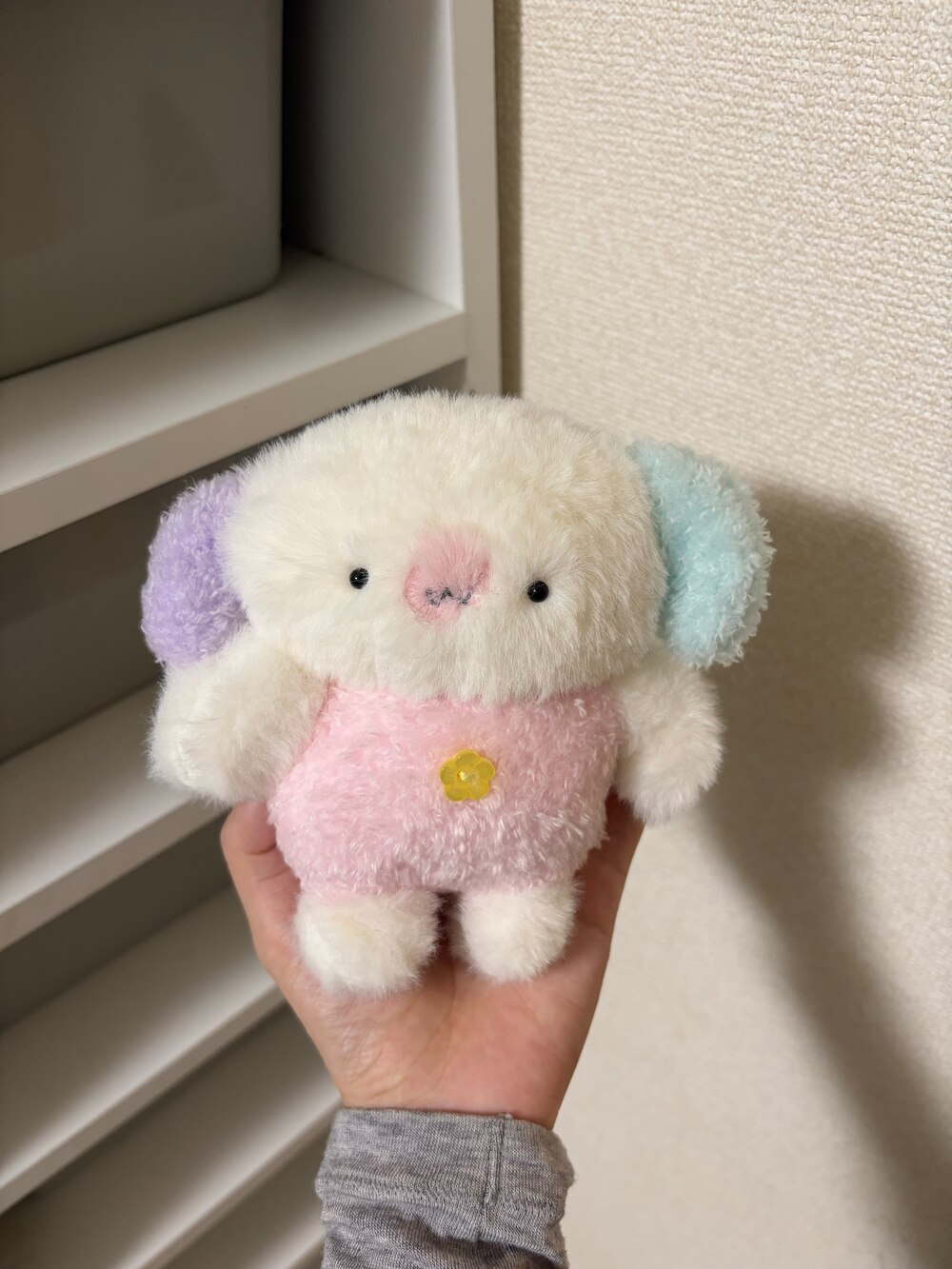 カラフルパン
