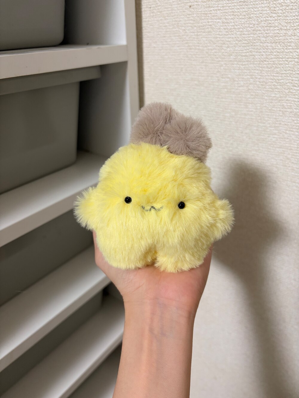 みちゅばち
